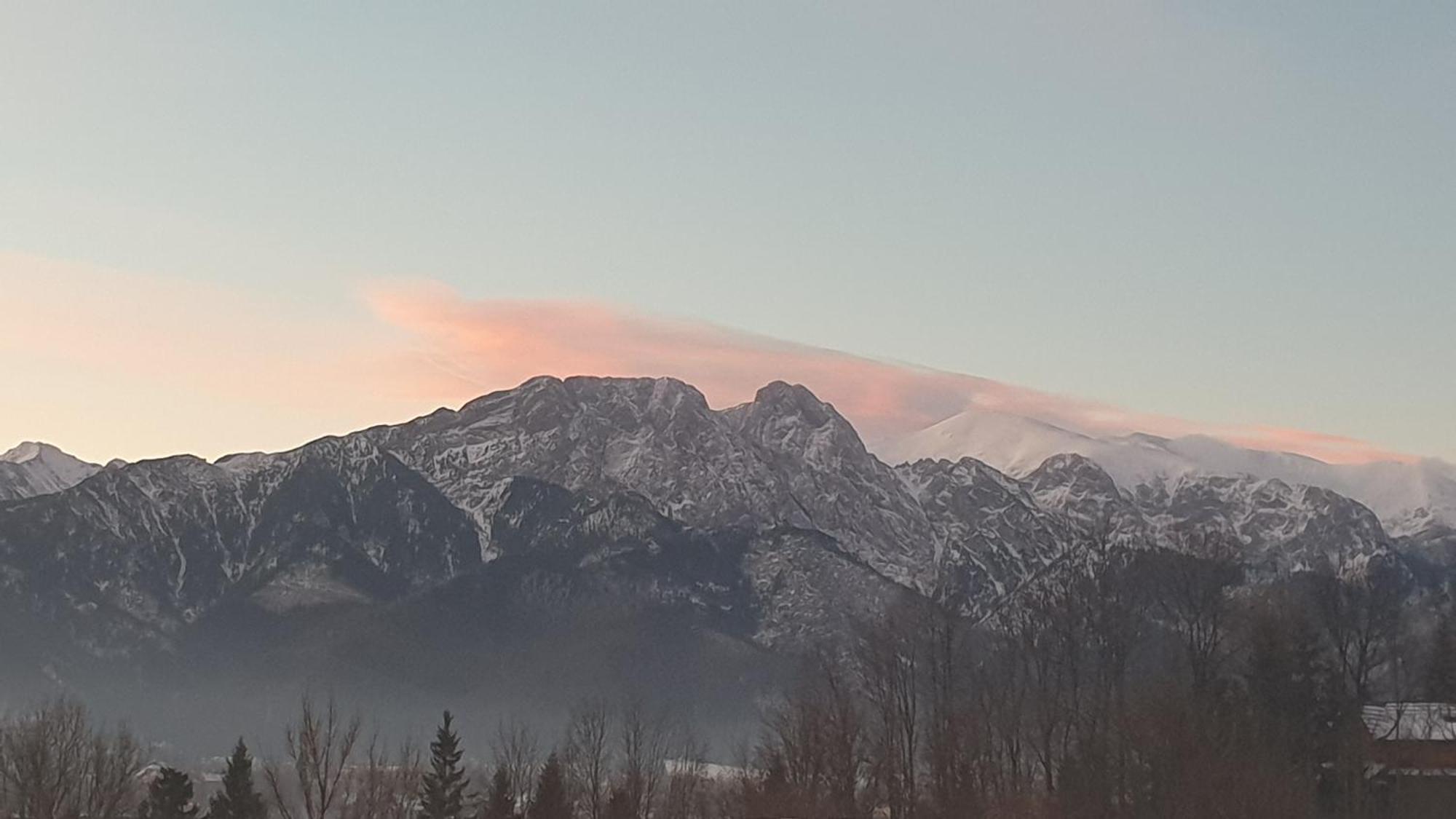 Villa Fortuna - Regionalne Apartamenty & Spa - Sauna, Grill, Jacuzzi Z Widokiem Na Tatry Zakopane Habitación foto